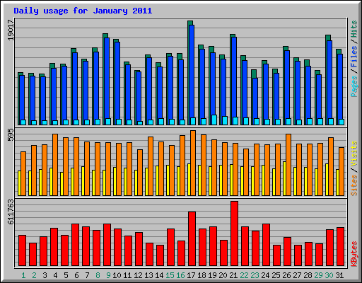 Daily usage for January 2011