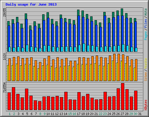 Daily usage for June 2013