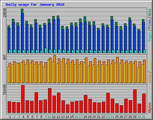 Daily usage for January 2016