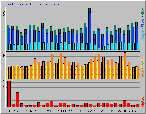 Daily usage for January 2020