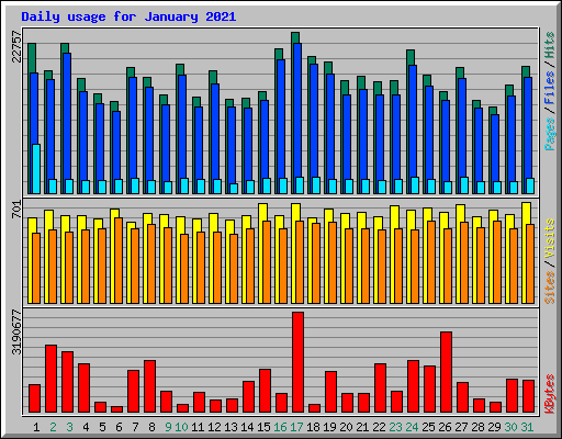 Daily usage for January 2021