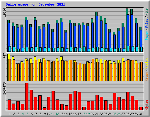 Daily usage for December 2021