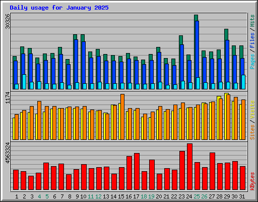 Daily usage for January 2025