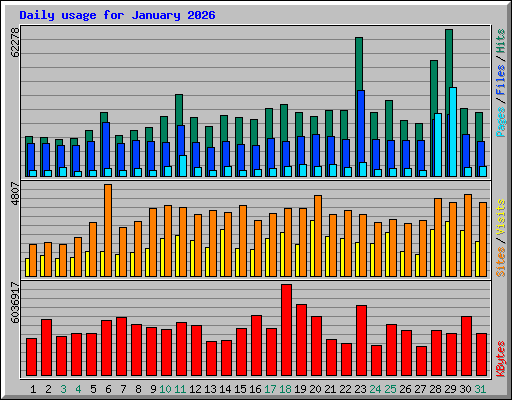 Daily usage for January 2026