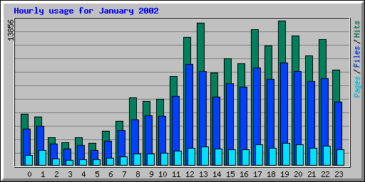 Hourly usage for January 2002