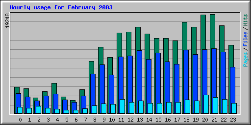 Hourly usage for February 2003