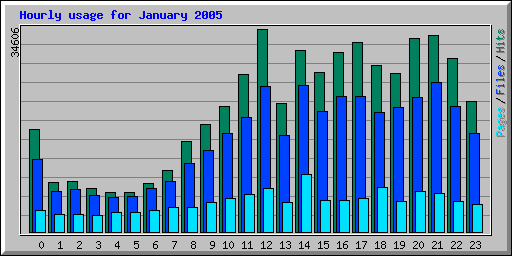 Hourly usage for January 2005
