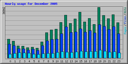 Hourly usage for December 2005