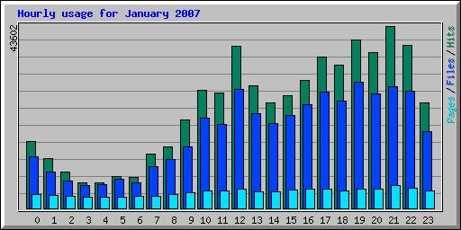 Hourly usage for January 2007