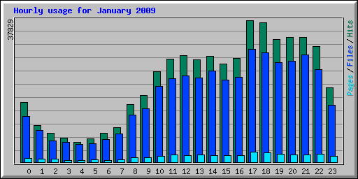 Hourly usage for January 2009