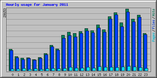 Hourly usage for January 2011