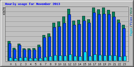 Hourly usage for November 2013