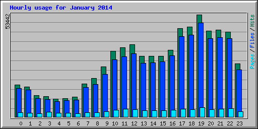 Hourly usage for January 2014