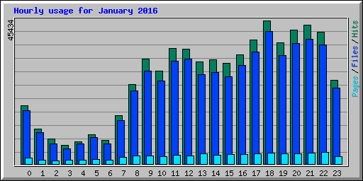 Hourly usage for January 2016