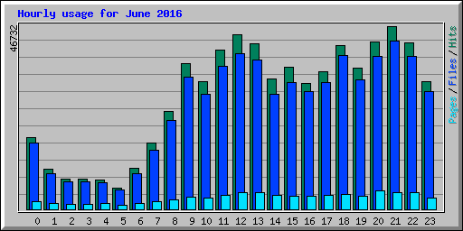 Hourly usage for June 2016