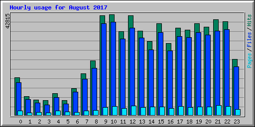 Hourly usage for August 2017