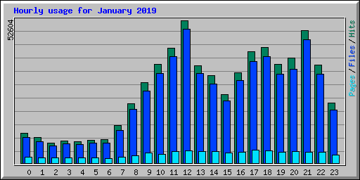 Hourly usage for January 2019