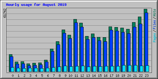 Hourly usage for August 2019