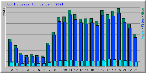 Hourly usage for January 2021