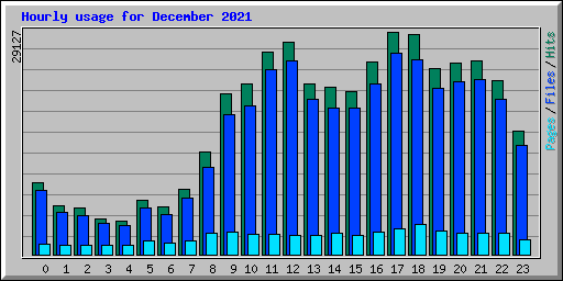 Hourly usage for December 2021