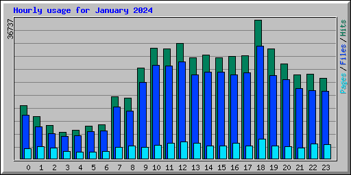 Hourly usage for January 2024
