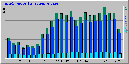 Hourly usage for February 2024