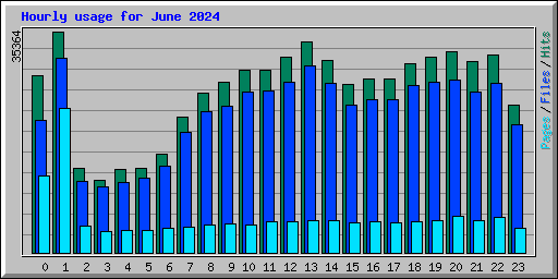 Hourly usage for June 2024