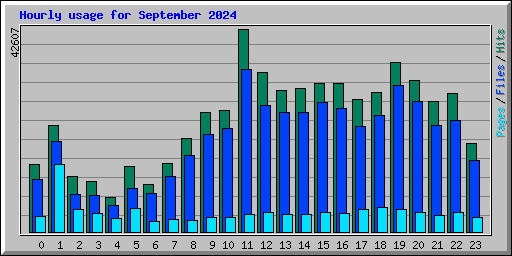 Hourly usage for September 2024