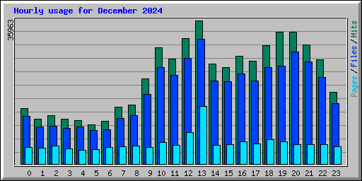 Hourly usage for December 2024