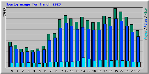 Hourly usage for March 2025