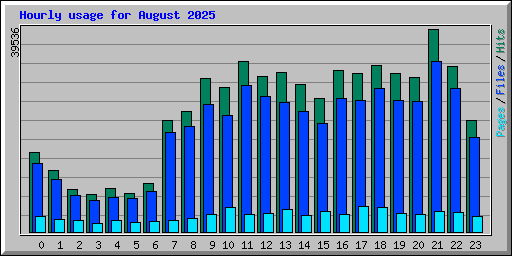 Hourly usage for August 2025