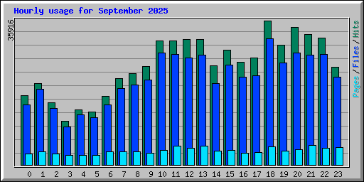 Hourly usage for September 2025