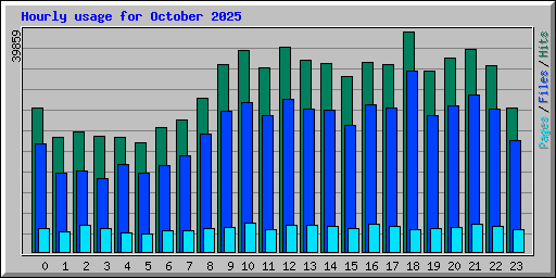 Hourly usage for October 2025