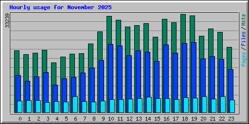 Hourly usage for November 2025