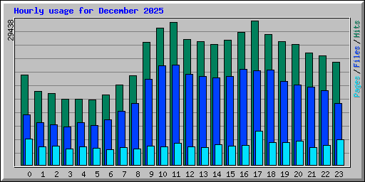 Hourly usage for December 2025