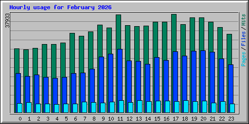 Hourly usage for February 2026