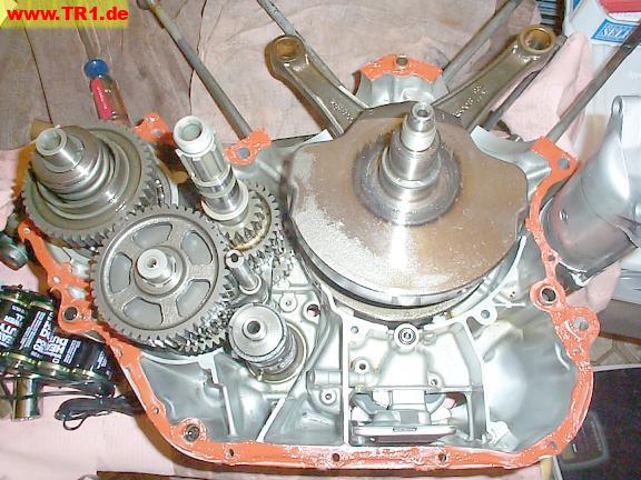 Left case half