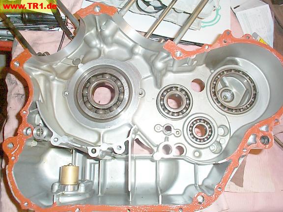 Right case half