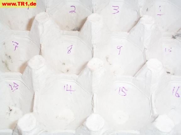 Egg box numbering