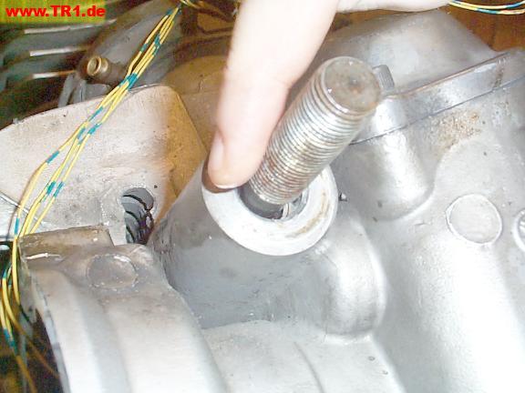 apply oil to head studs