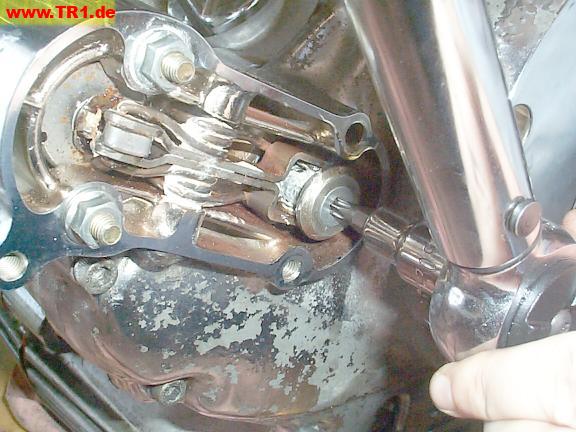 starter shaft torx bolt