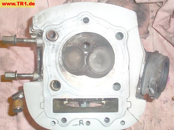 rear head, bottom