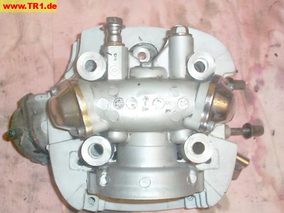 head, top view