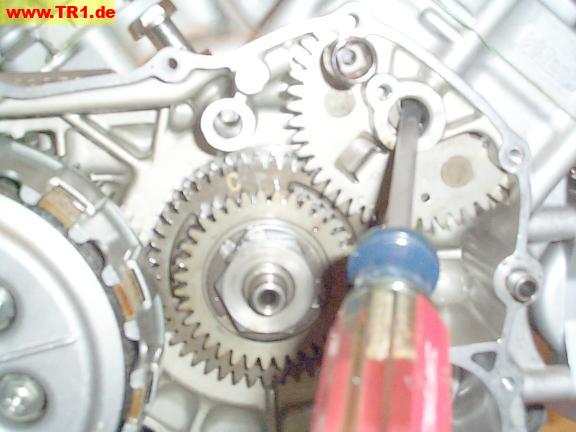 front timing gear, free
