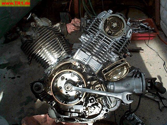 Virago