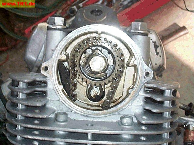 Virago