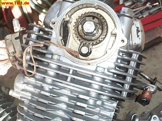 Virago