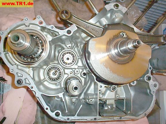Virago