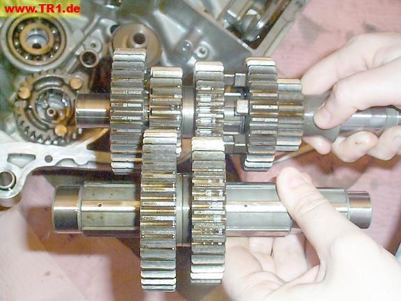 Virago