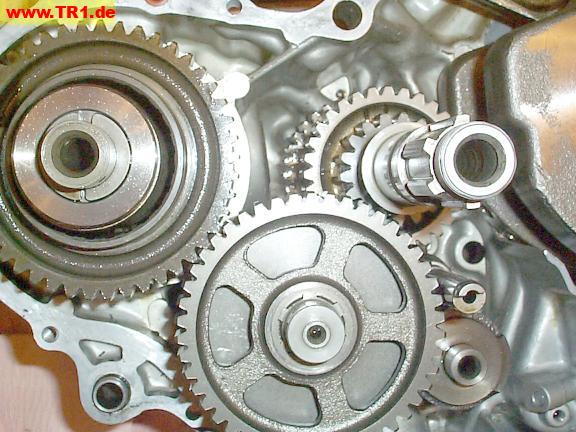 Virago